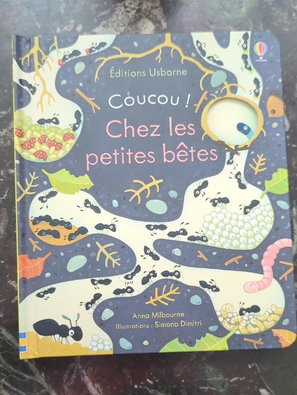 Usborne Book - Coucou! Chez les petites bêtes - Illustrated Board Book (French)